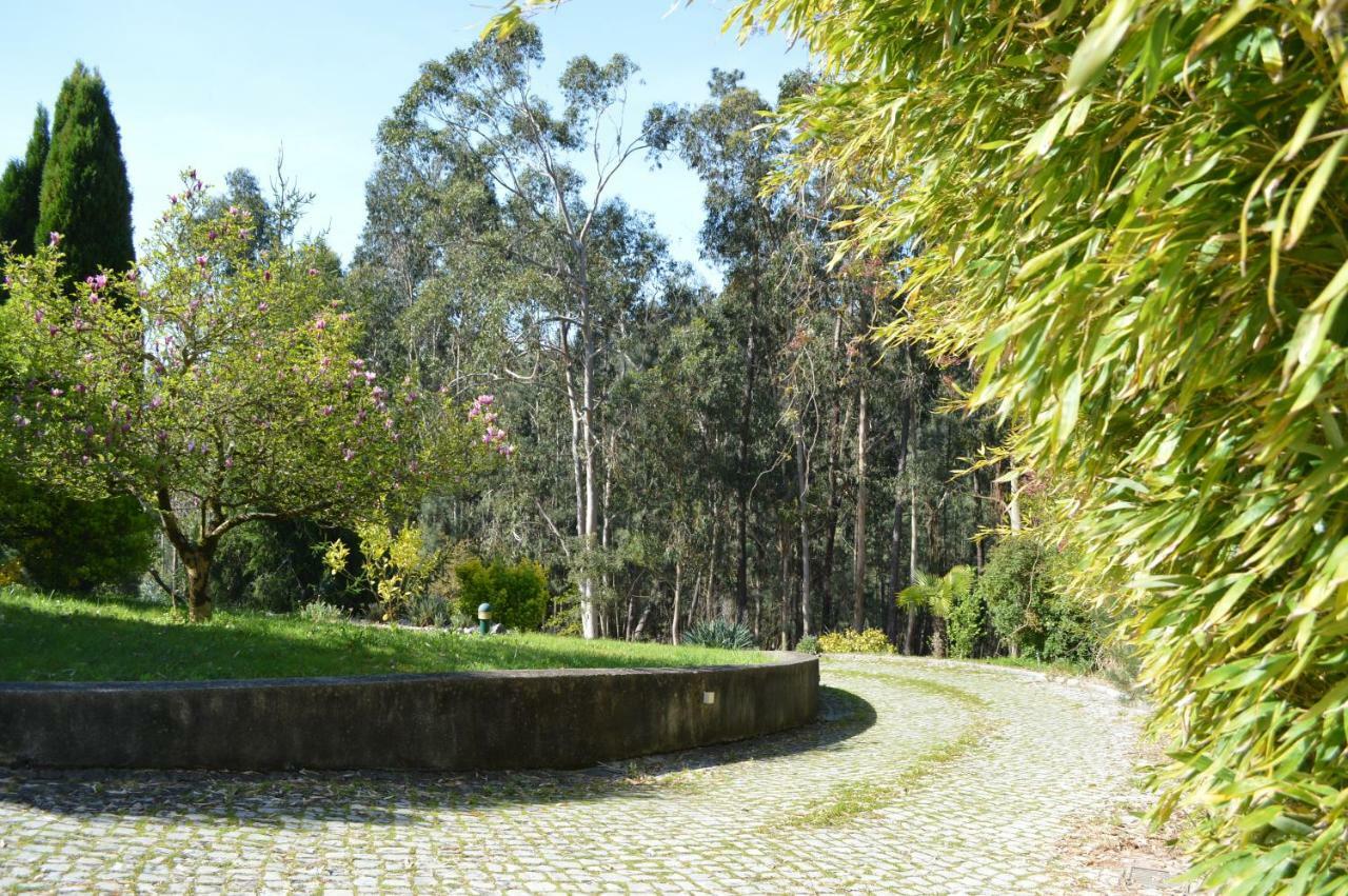 Bamboo Guest House Águeda Exterior foto